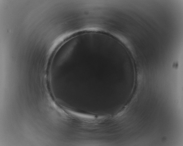 X0000113261327200909171640