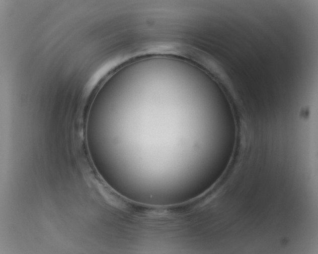 X0000113261328200909171640