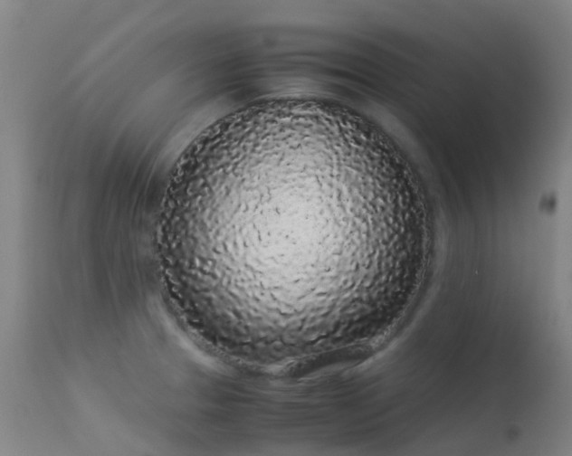 X0000113261329200909171640