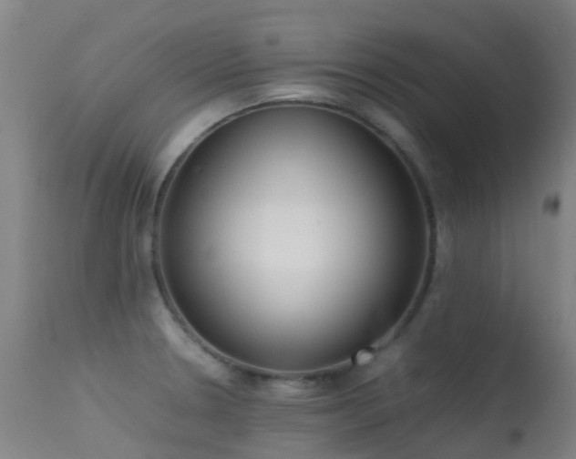 X0000113261330200909171640