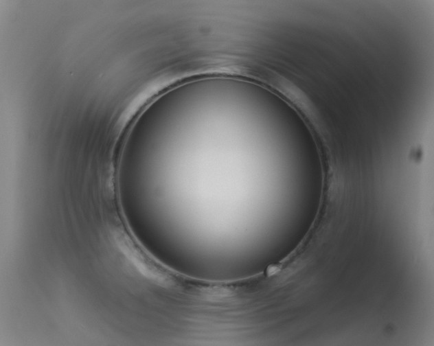 X0000113261332200909171640