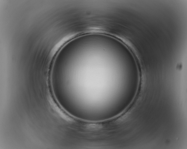 X0000113261333200909171640