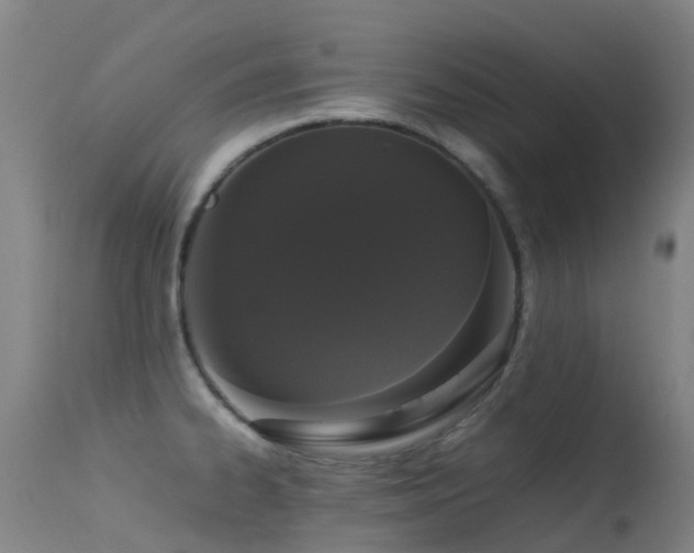 X0000113261334200909171640