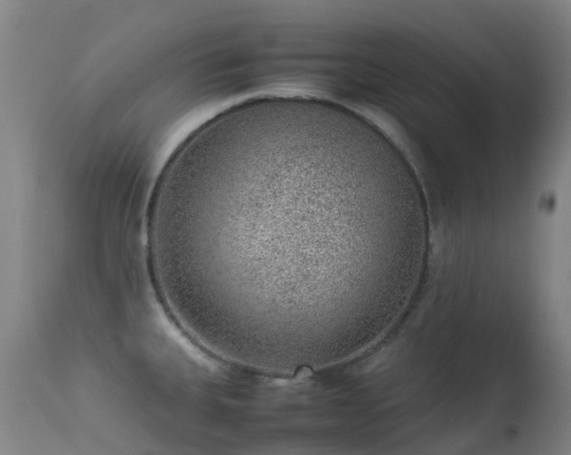 X0000113261335200909171640