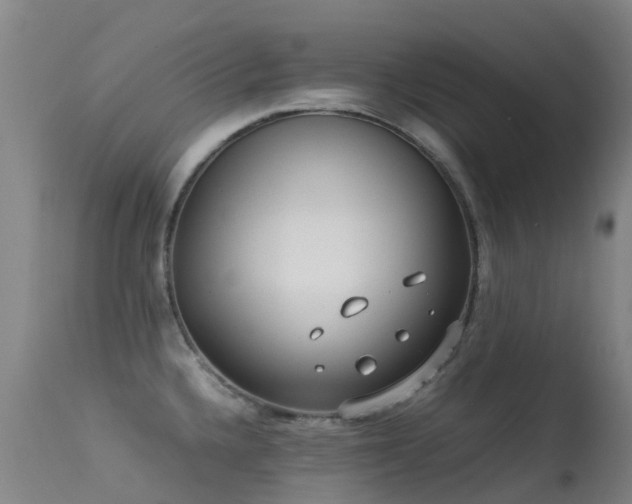 X0000113261336200909171640