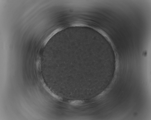 X0000113261337200909171640