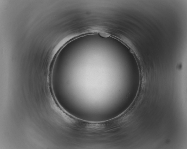 X0000113261339200909171641