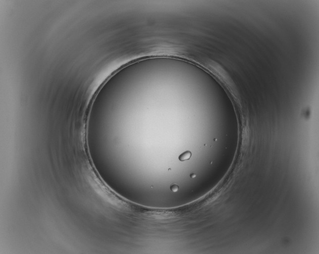 X0000113261340200909171641