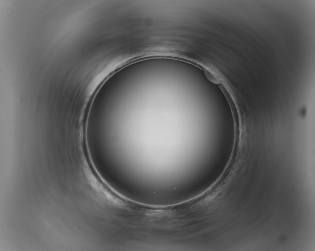 X0000113261341200909171641