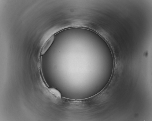 X0000113261342200909171641