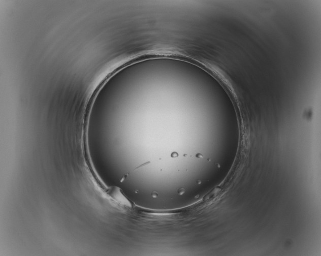 X0000113261343200909171641