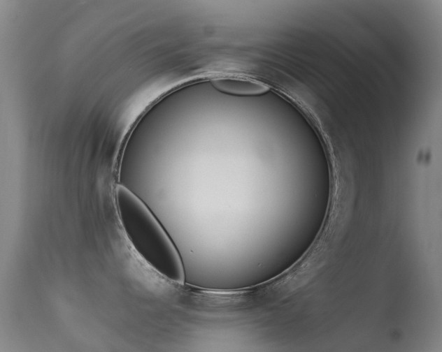 X0000113261344200909171641