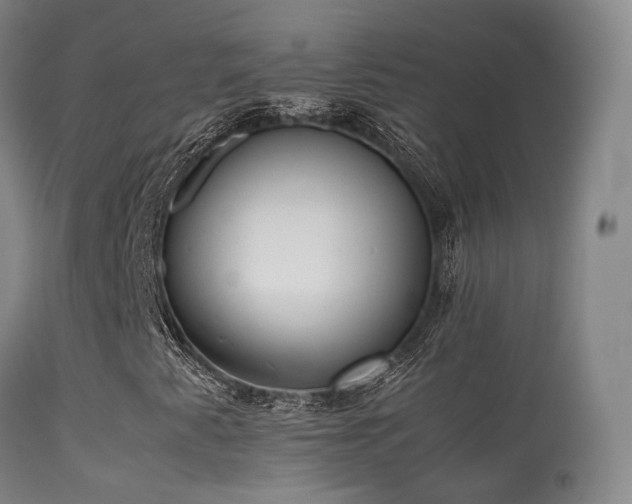 X0000113261345200909171640