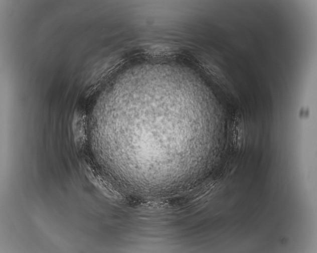 X0000113261346200909171640