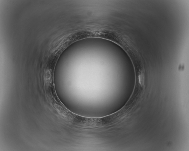 X0000113261347200909171640