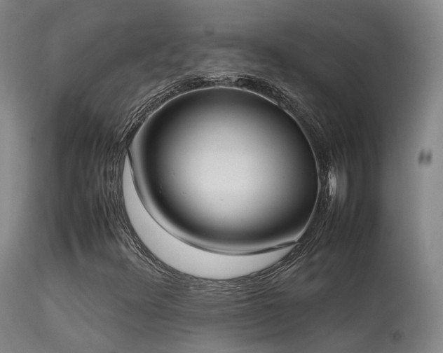 X0000113261348200909171640