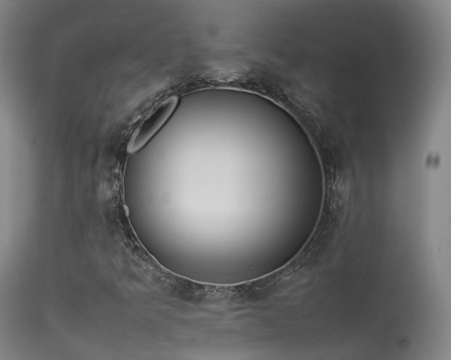 X0000113261349200909171640