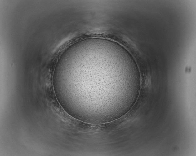 X0000113261350200909171640