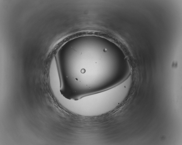 X0000113261352200909171640