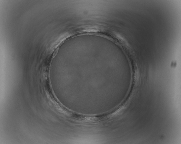 X0000113261353200909171640