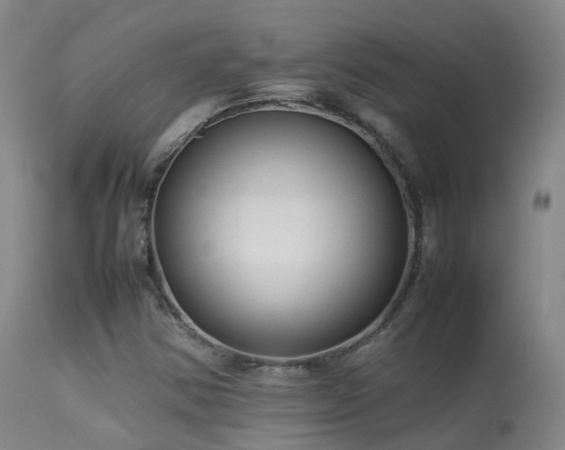 X0000113261354200909171640