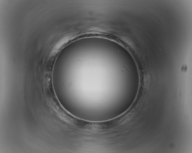 X0000113261355200909171640