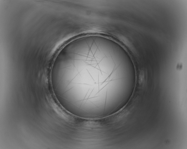 X0000113261356200909171640