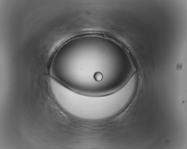 X0000113261357200909171640