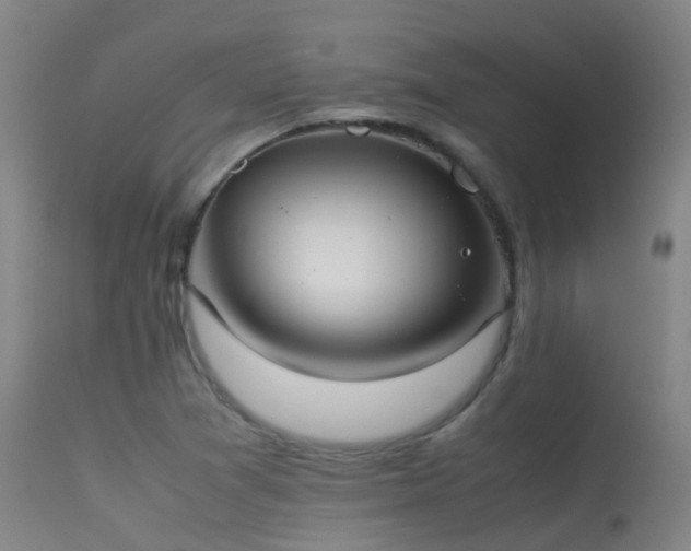 X0000113261361200909171640