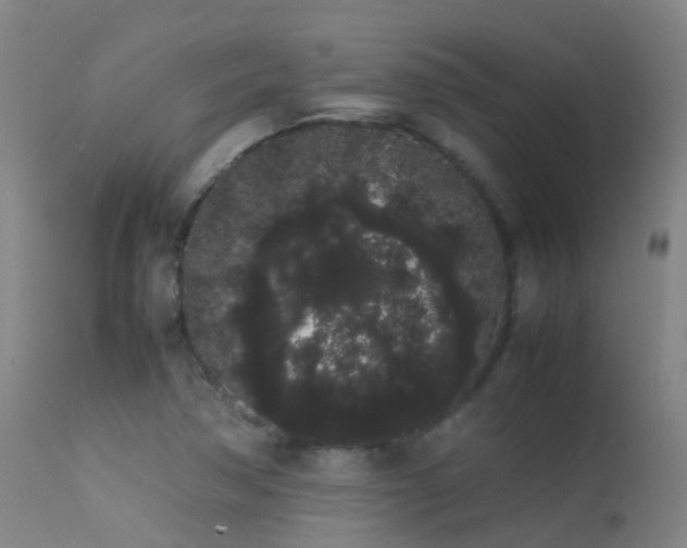 X0000113261362200909171640