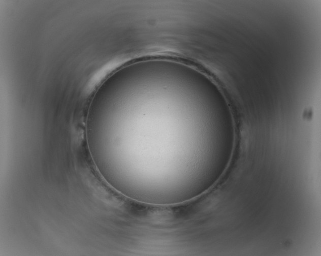 X0000113261363200909171639