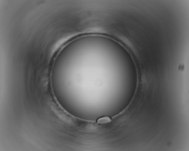 X0000113261364200909171639