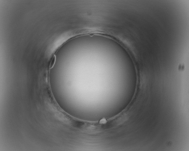 X0000113261365200909171639