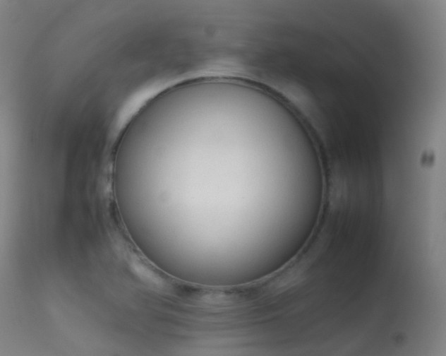 X0000113261366200909171639