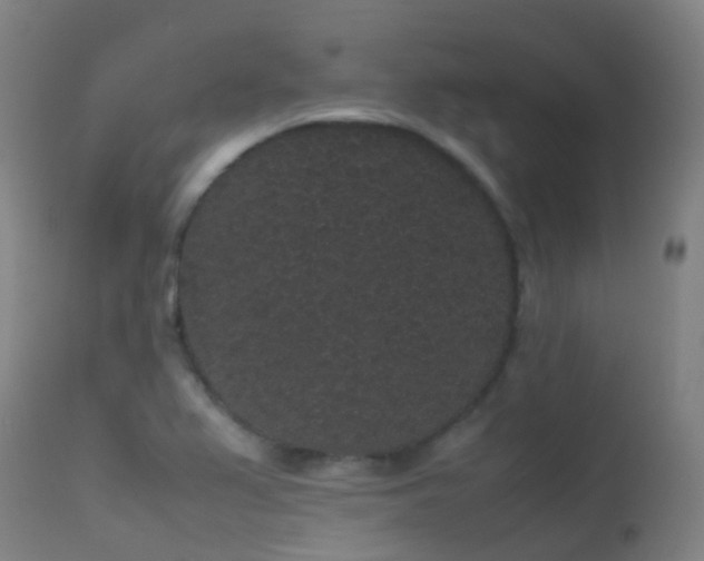 X0000113261367200909171639