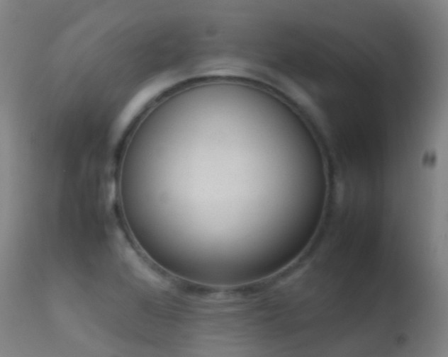 X0000113261368200909171639