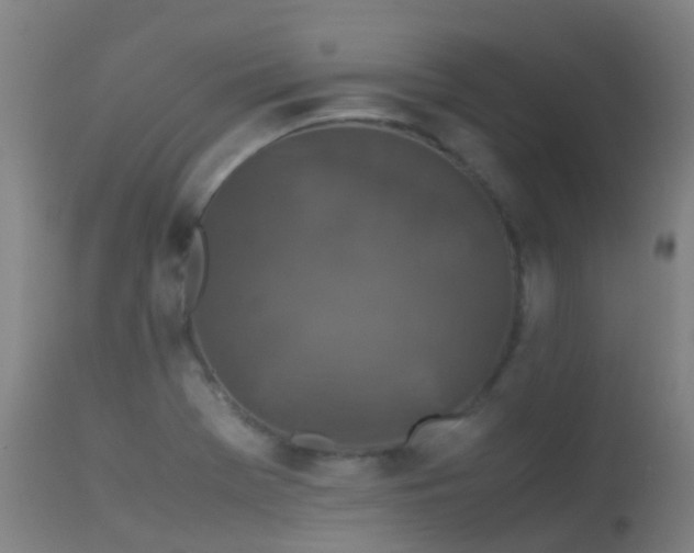 X0000113261369200909171639