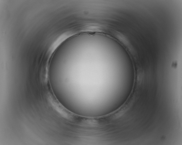 X0000113261370200909171639