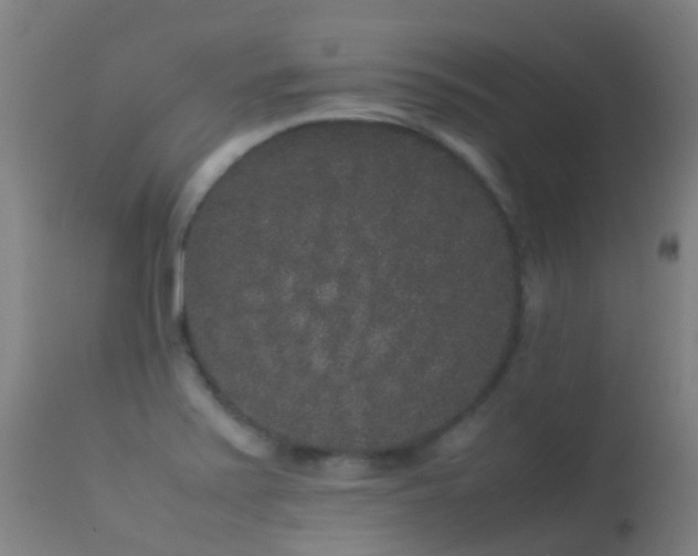 X0000113261371200909171639