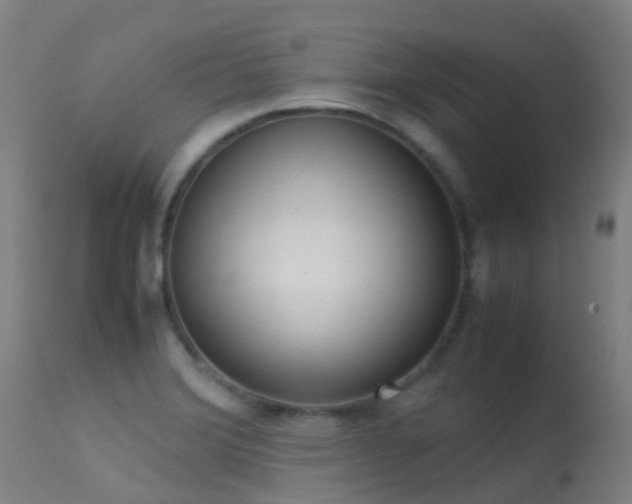 X0000113261372200909171639