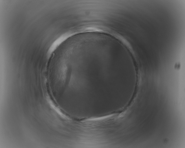 X0000113261373200909171639