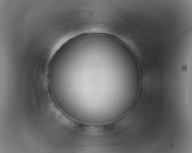 X0000113261374200909171639