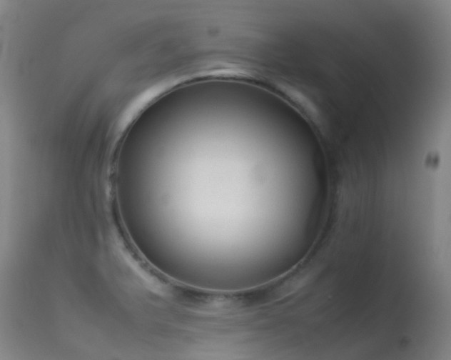 X0000113261375200909171639