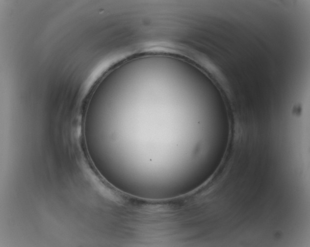 X0000113261376200909171639