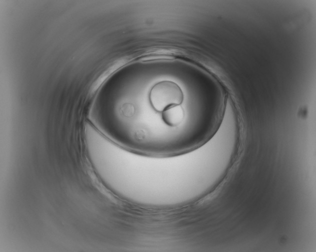 X0000113261377200909171639