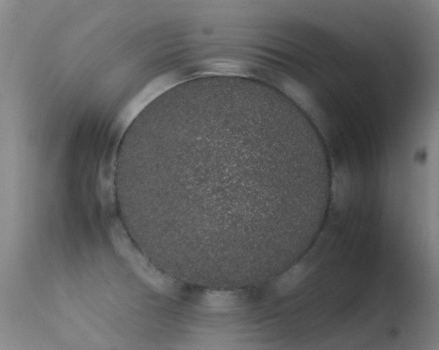 X0000113261378200909171639