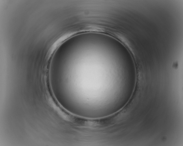 X0000113261379200909171639