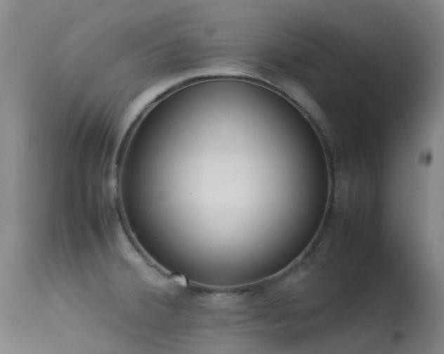 X0000113261380200909171639