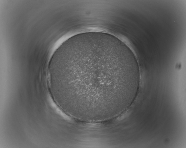 X0000113261381200909171639