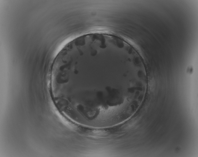 X0000113261383200909171639